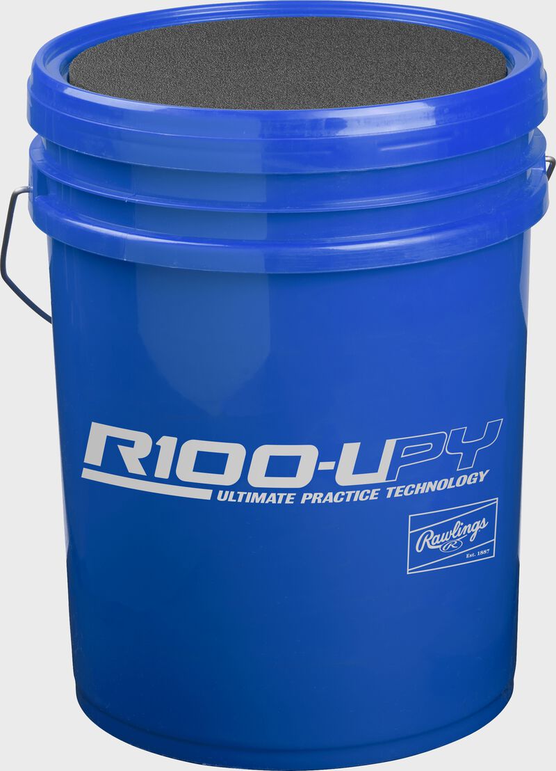R100UPYBUCK30-2
